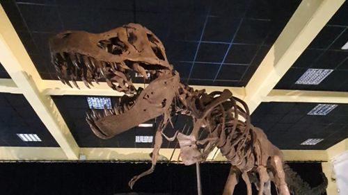 En vidéo : une exposition sur les dinosaures à Dijon